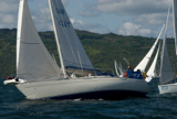 saracen gbr626t ss12 sun 11400